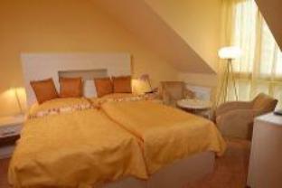 Hotel U Pramenu 写真