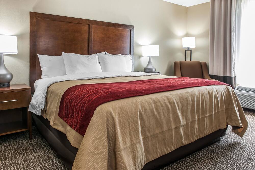 コンフォート イン & スイーツ マウント スターリング 写真