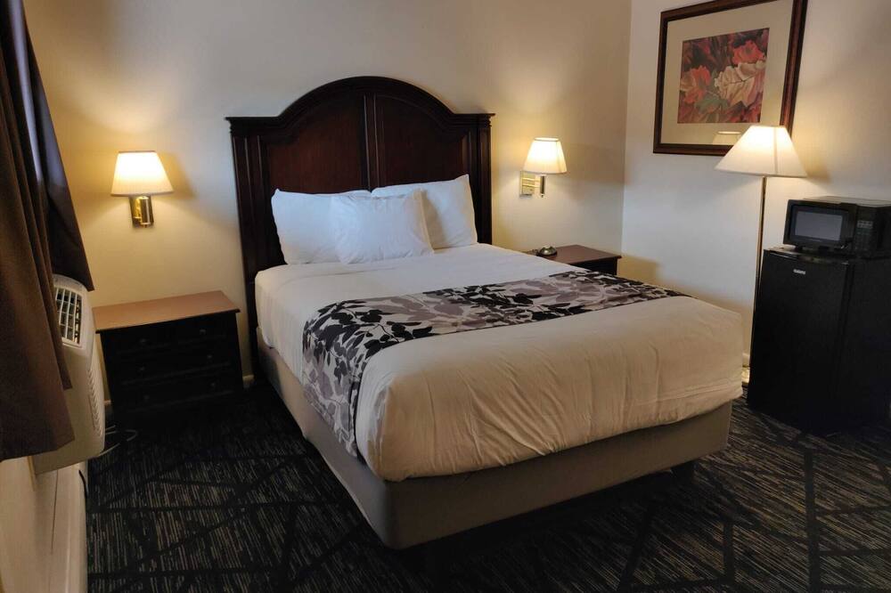 スカイライン モーター イン 写真