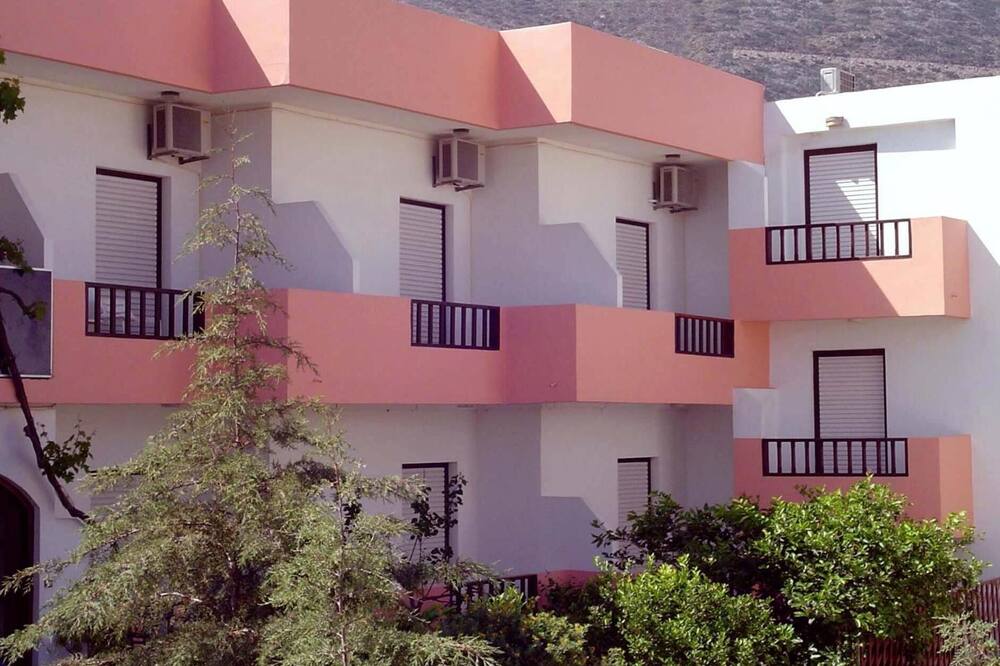 ティスヴィ 写真