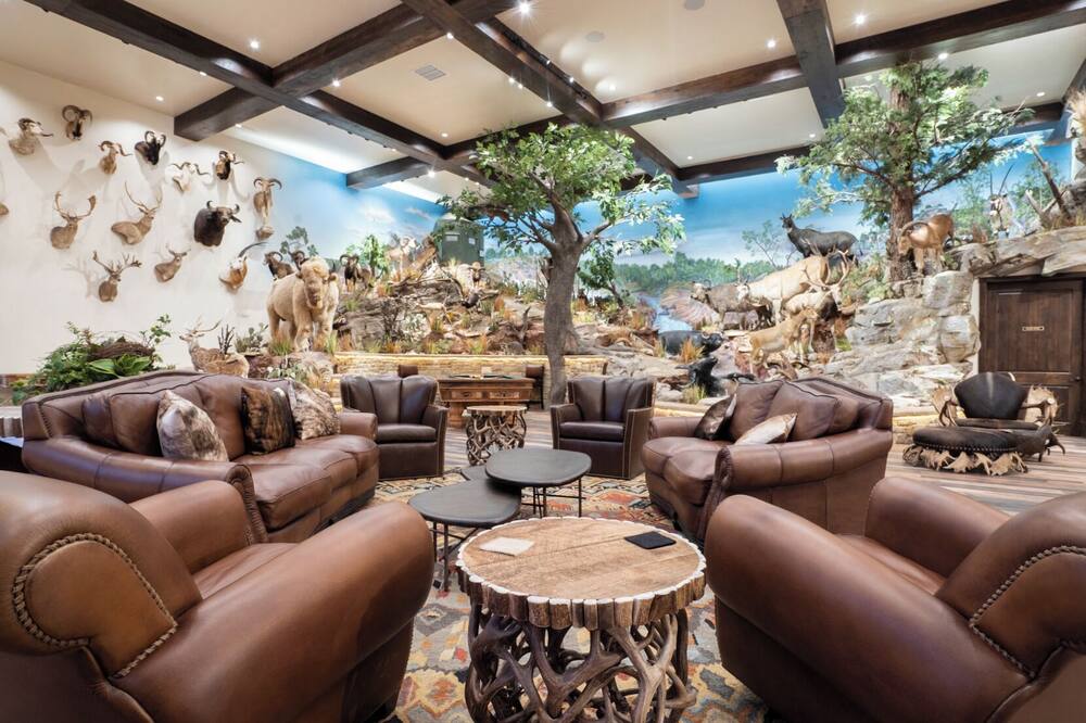 チャンピオン ランチ 写真