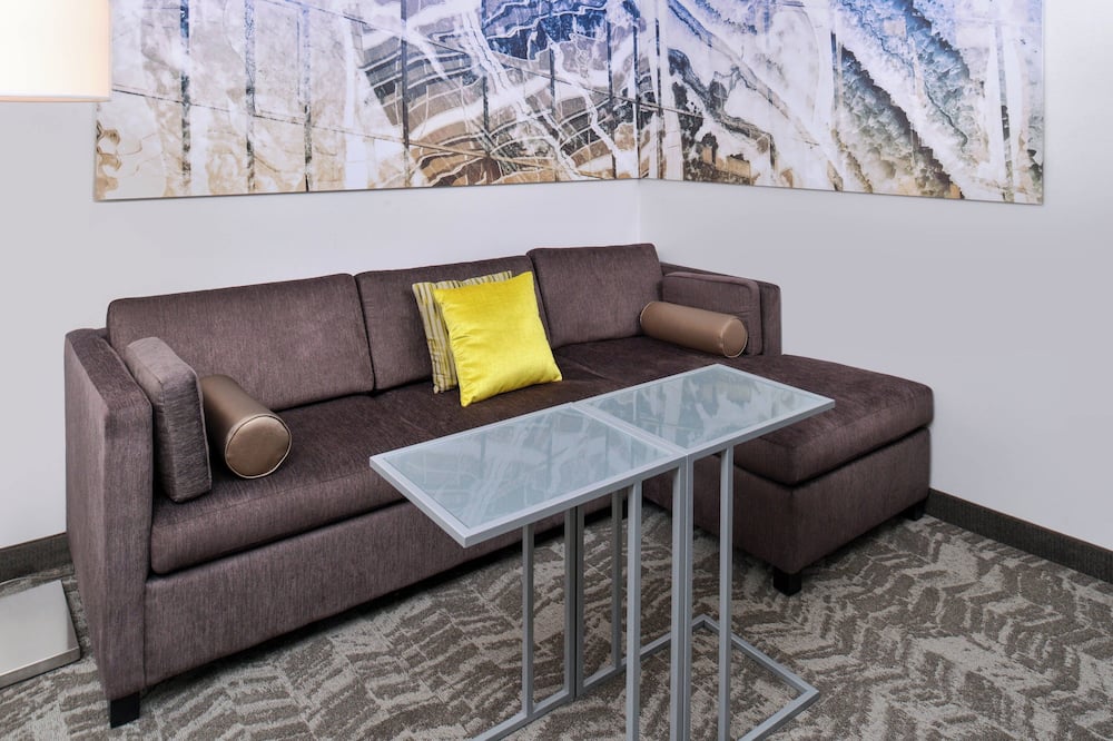 SpringHill Suites by Marriott Detroit Metro Airport Romulus 写真