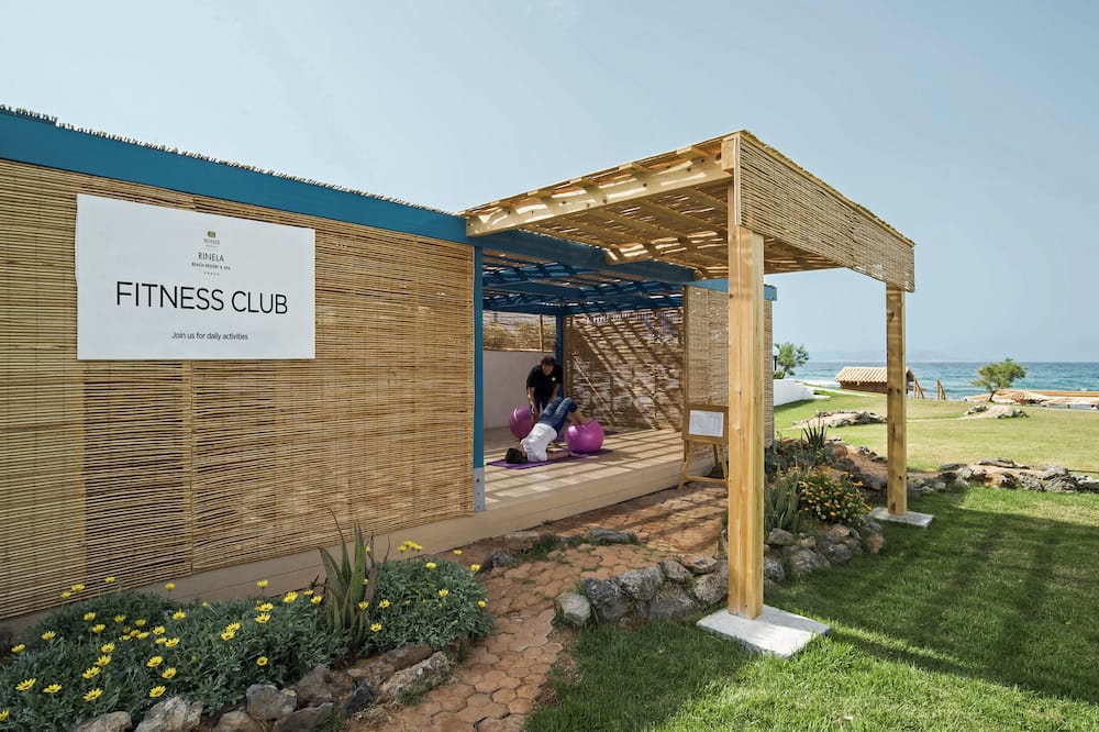 ミツィス セレクション リネラ 写真