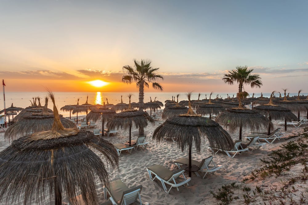 エル ムラディ パーム マリーナ 写真