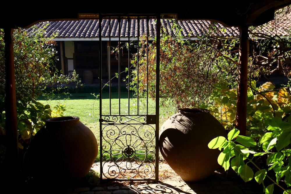 ハシエンダ ロス リングエス チリ 写真