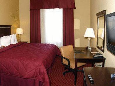 Comfort Inn & Suites Maingate South 写真