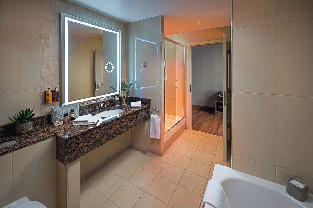 カールトン ホテル ダブリン エアポート 写真