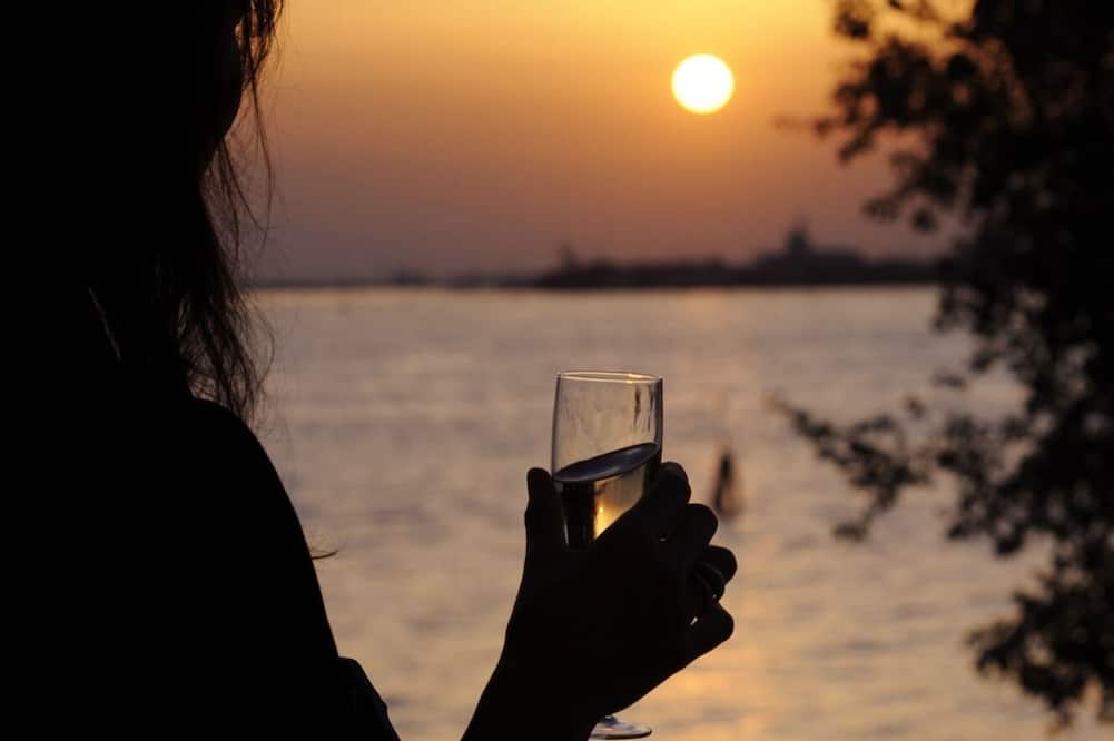 ルッソ パレス ホテル 写真