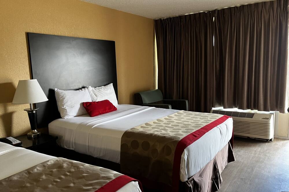 バジェット イン 写真