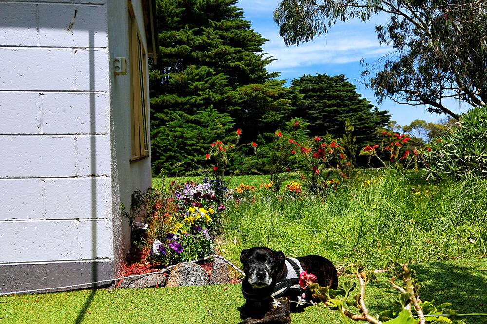 トゥエルブ アポストレス モーテル & カントリー リトリート 写真