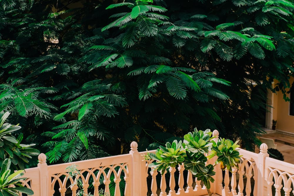 ロイヤル ヘリテージ ハヴェリ バイ レジャー ホテルズ 写真