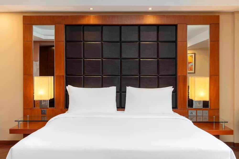 ラディソン ブル プラザ デリー エアポート 写真