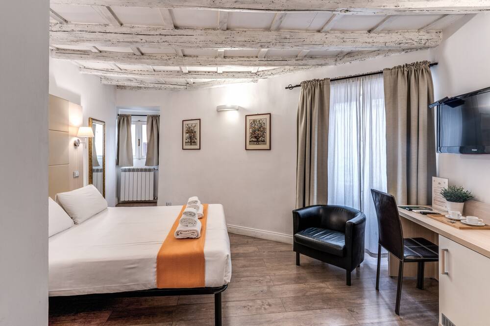 マジェンタコレクションカンチェロ 写真