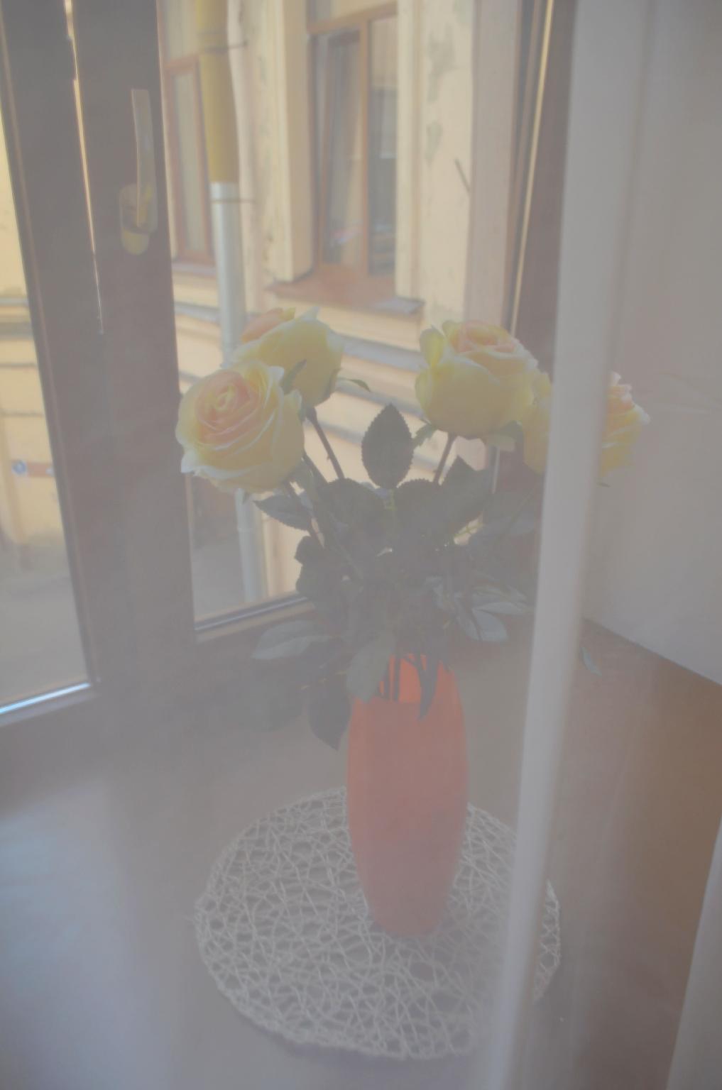 デラックス ホテル オン ガレルナヤ 写真