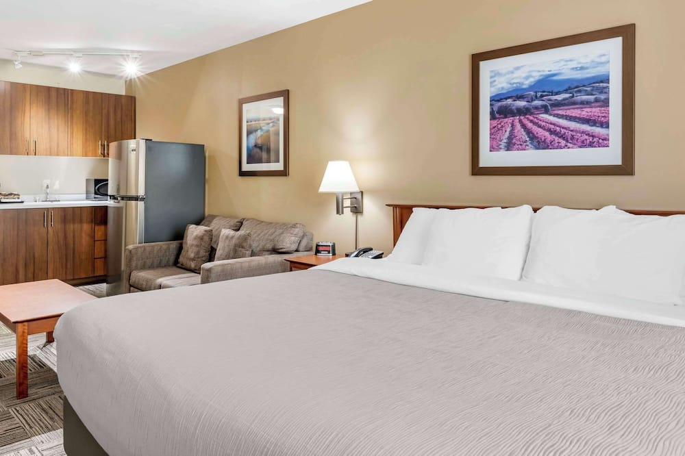 クオリティ イン エアポート 写真