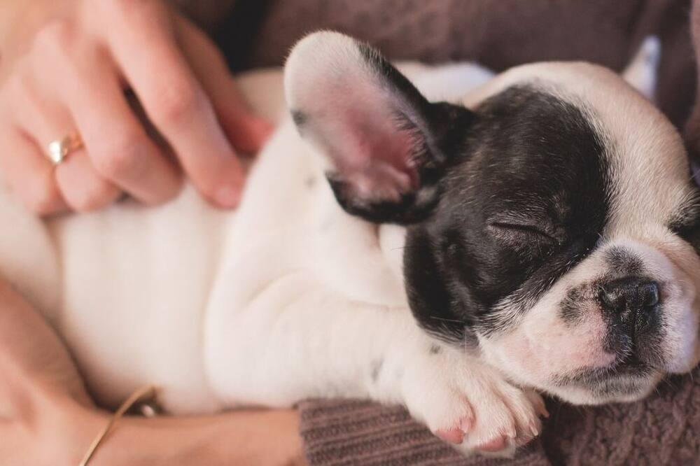 ジョーダン ゲスト ルームズ 写真