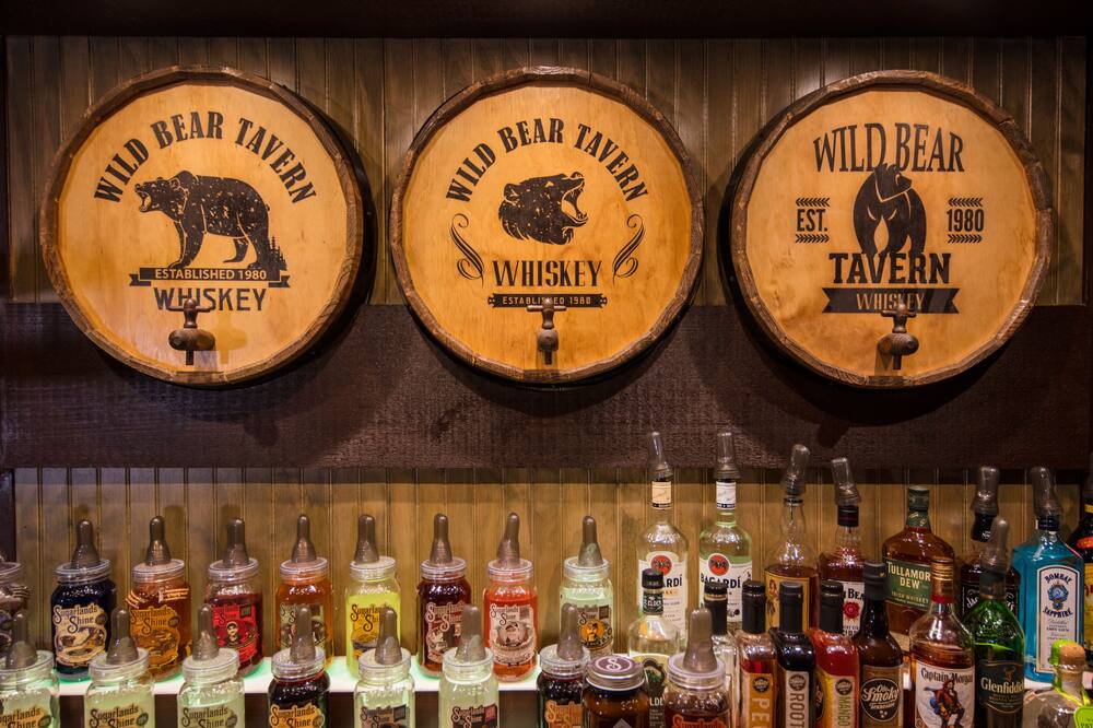 ワイルド ベア イン 写真