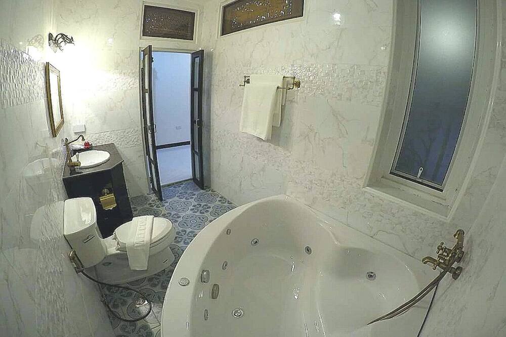 Velvet orchid 写真