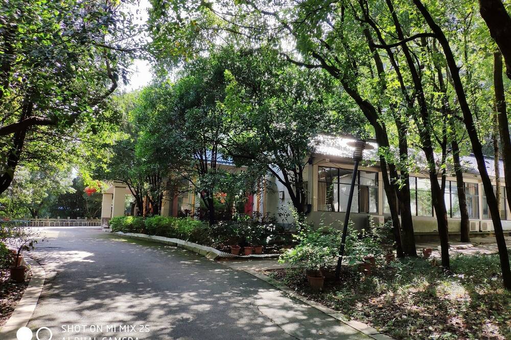 パーデクション ホテル 写真