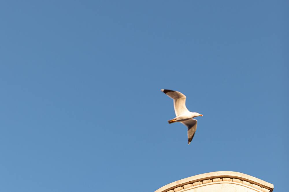 オテル アルベール プルミエ ニース 写真