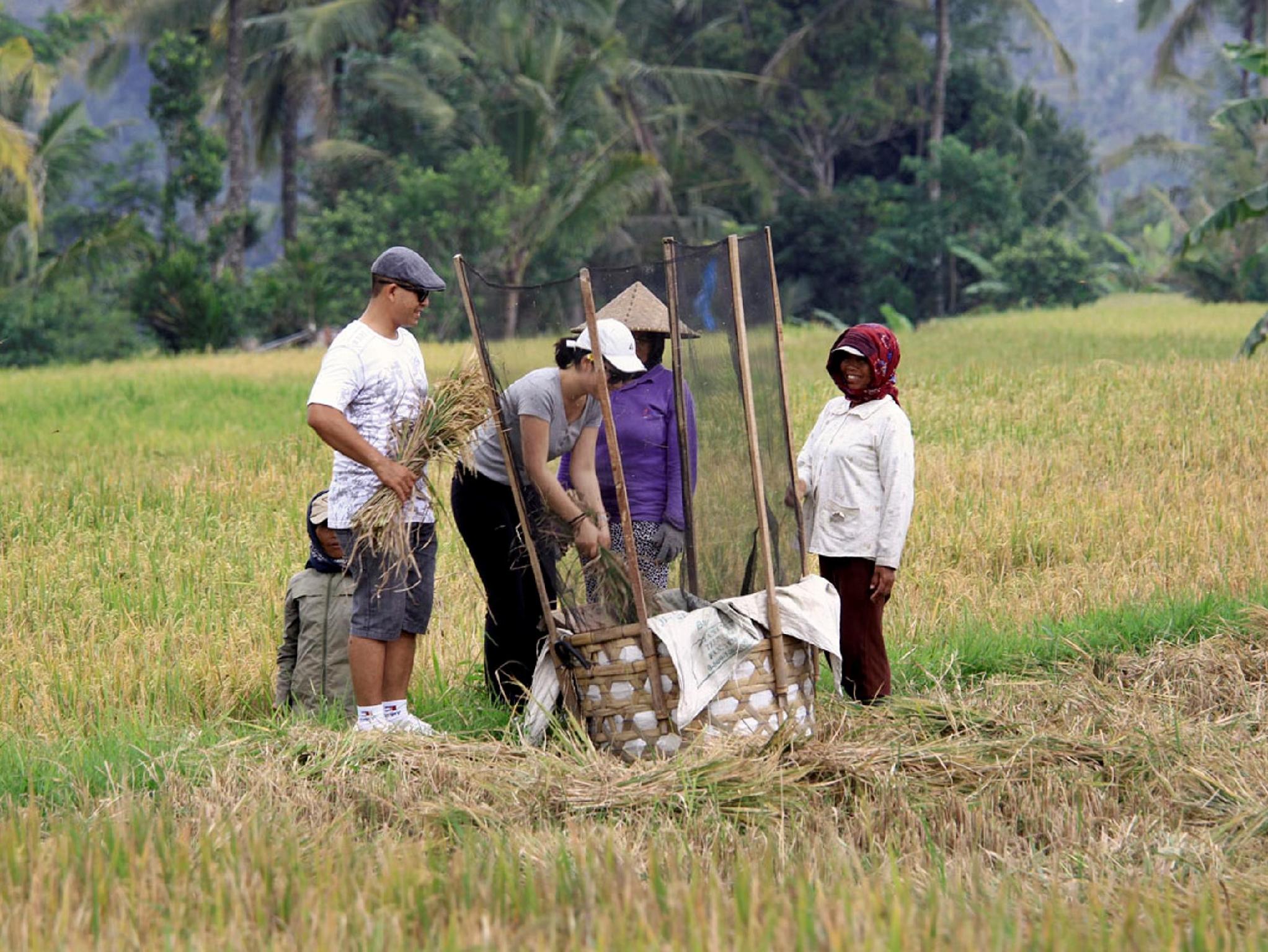 プリ ガンガ リゾート ウブド 写真