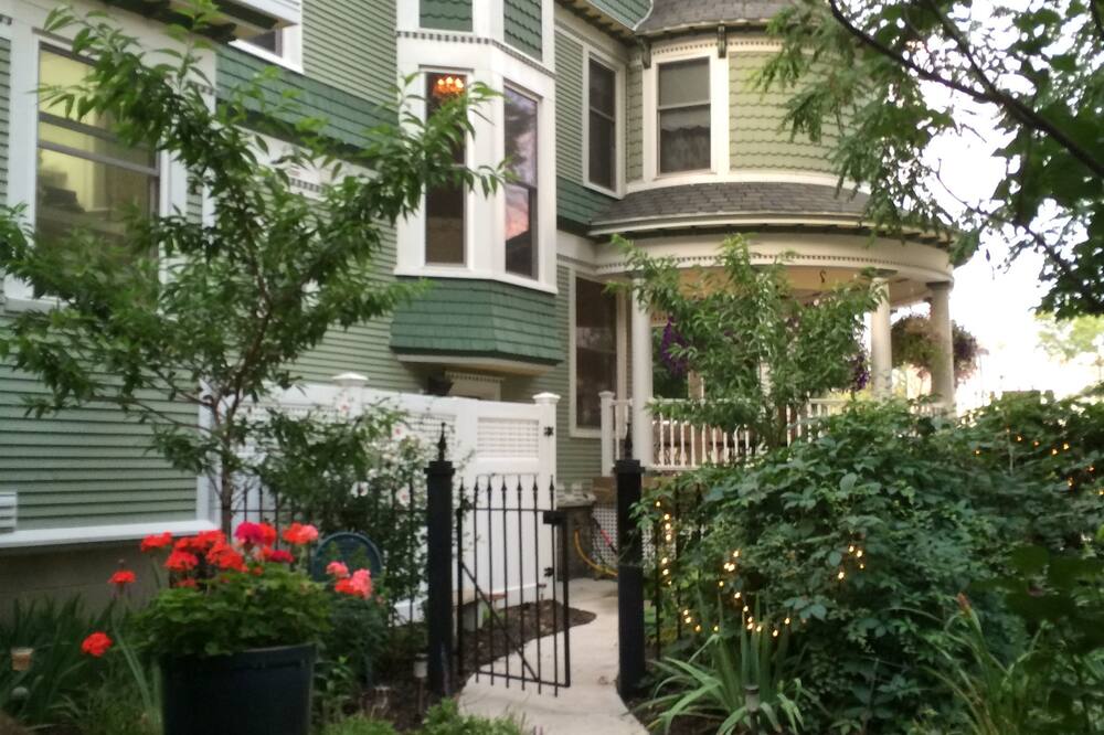 ギンゴウ ツリー イン 写真