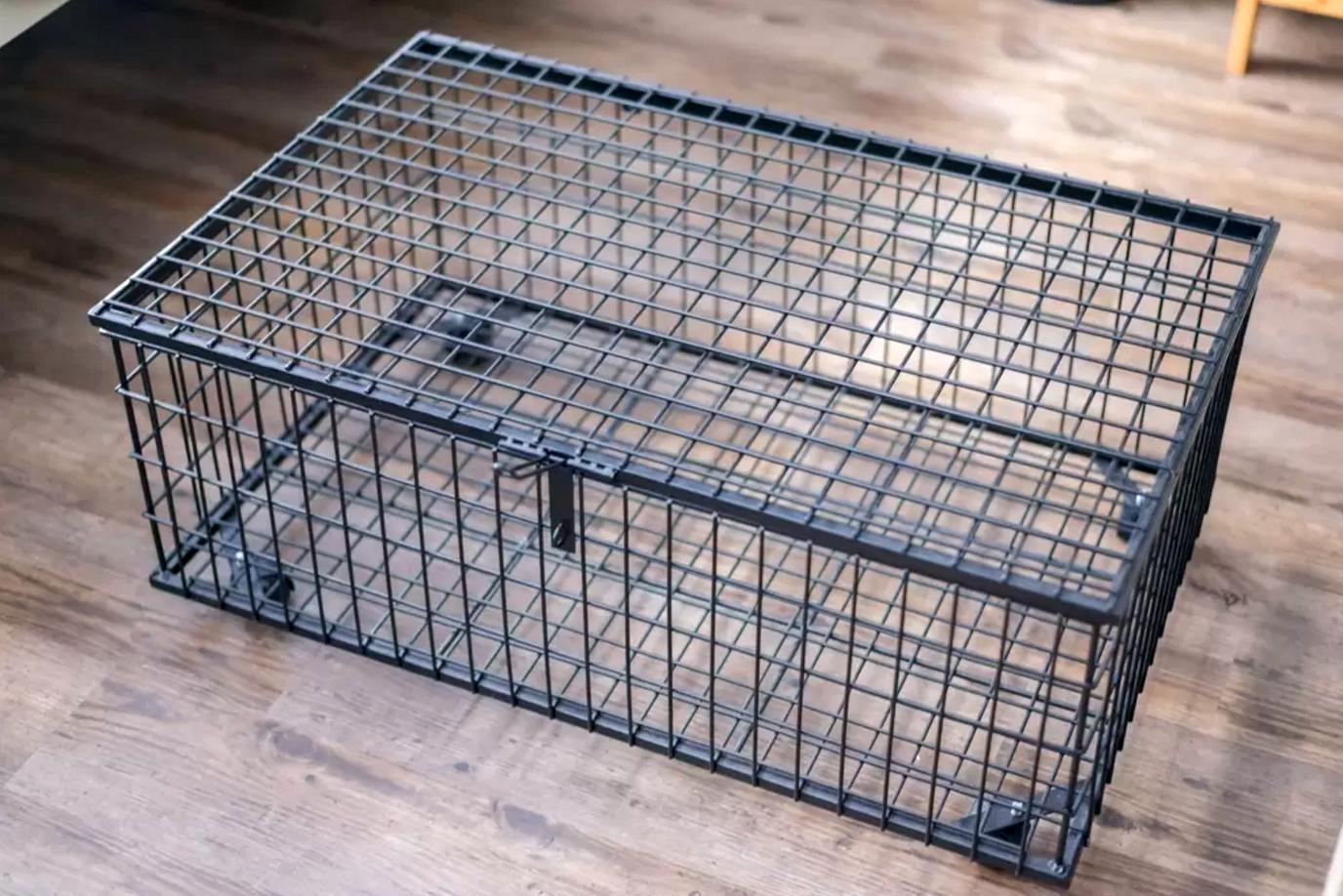 ホップ イン 写真