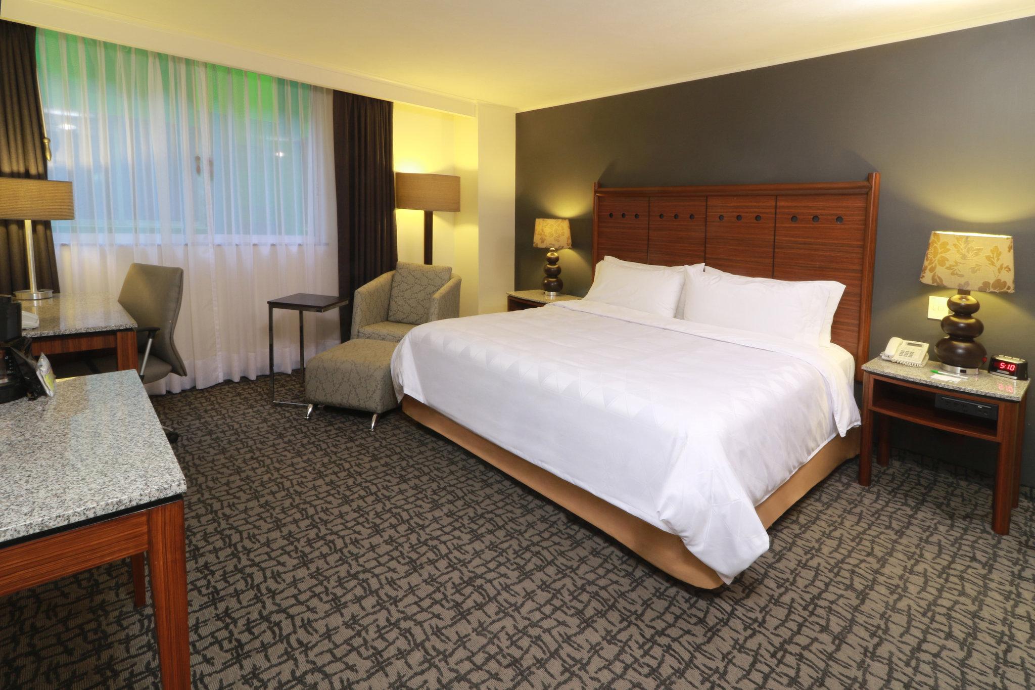 ホリデイ イン メキシコシティ トレードセンター バイ IHG 写真