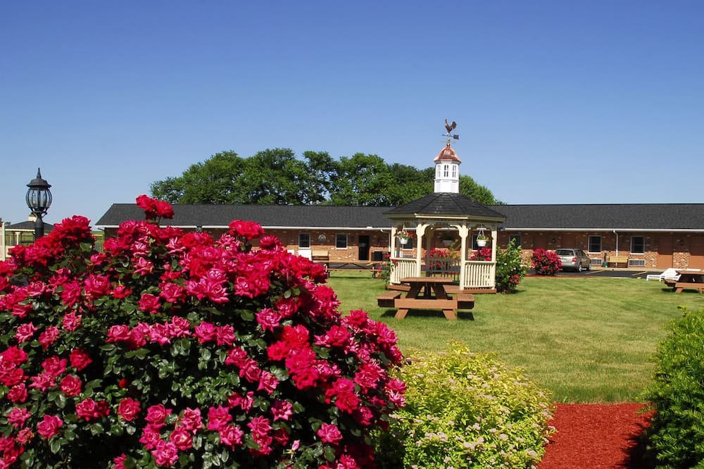 ウェザーベーン モーター コート 写真