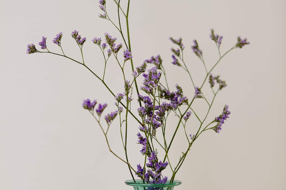 60 バルコニーズ デザイン 写真