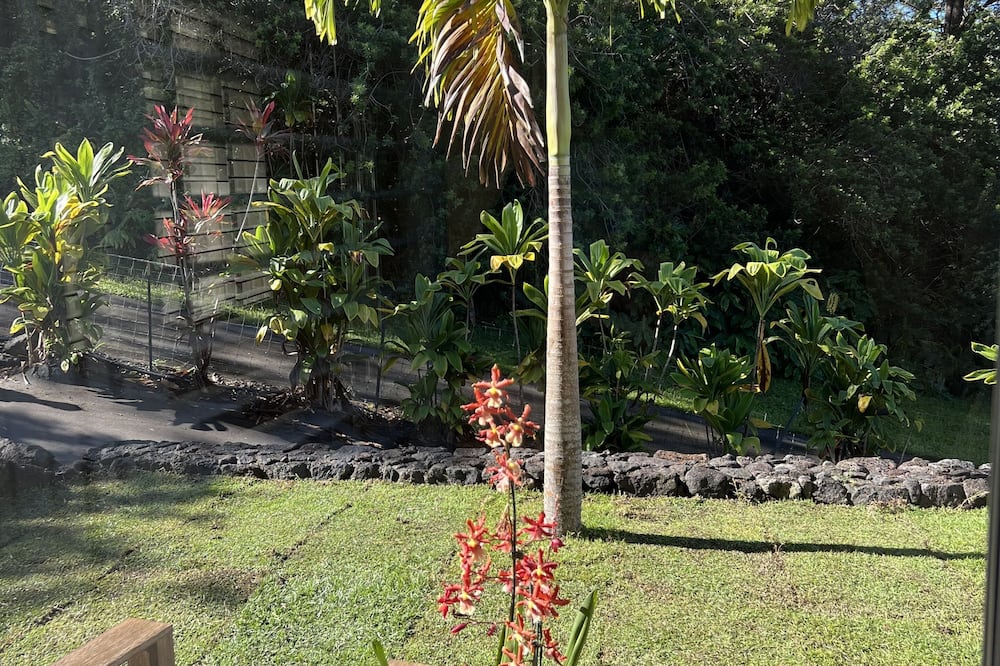 マンゴー サンセット ベッド アンド ブレックファスト 写真