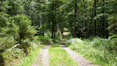 Ring Siegfriedbrunnen Hotel 写真