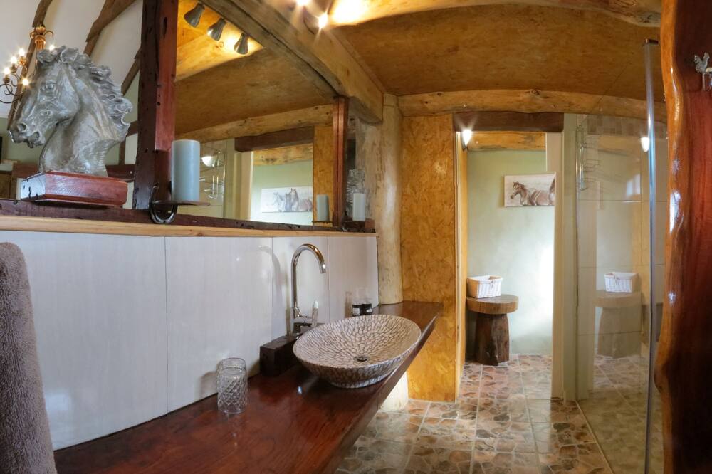 トニクア ステーブル イン 写真