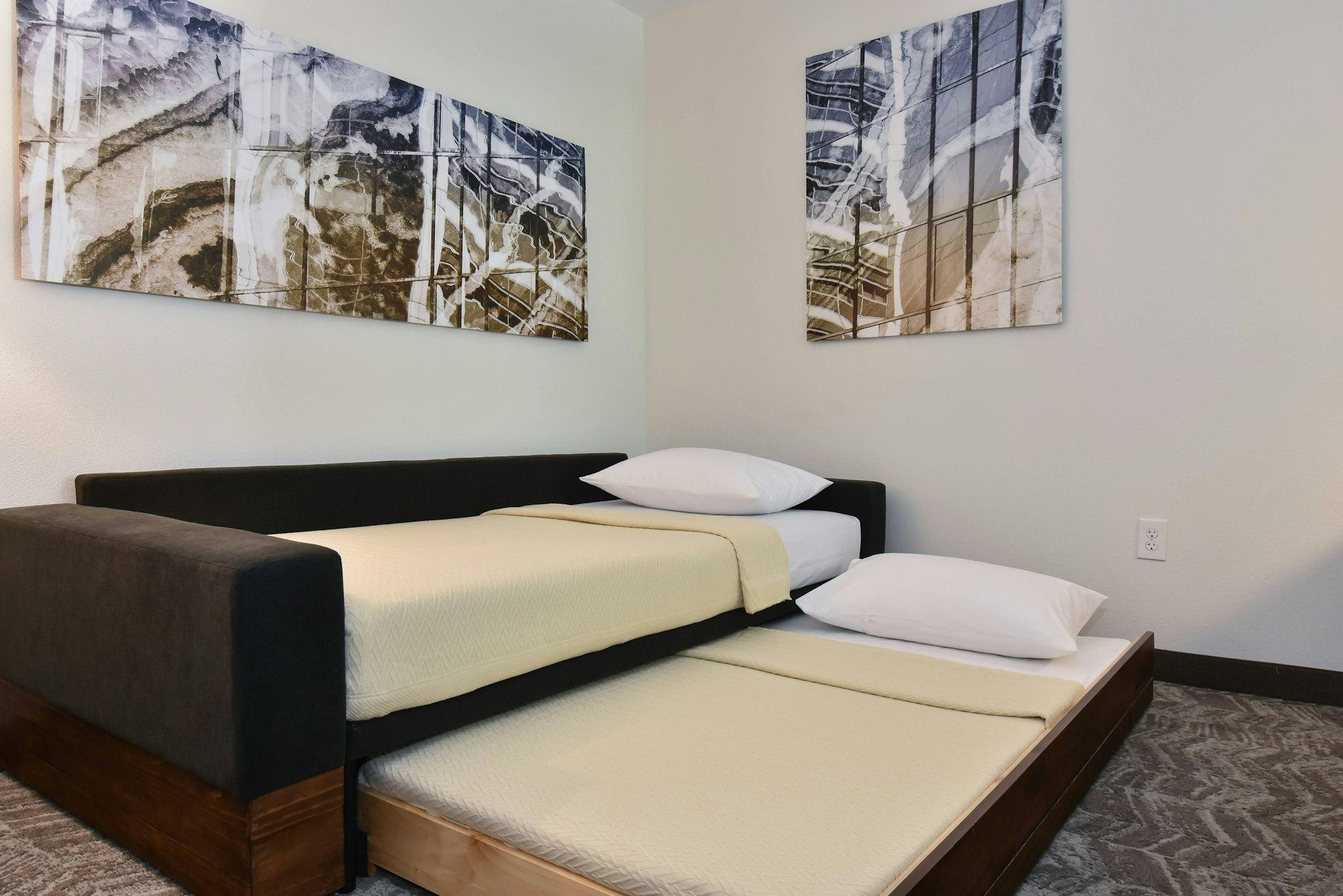 SpringHill Suites by Marriott Columbia Downtown/The Vista 写真