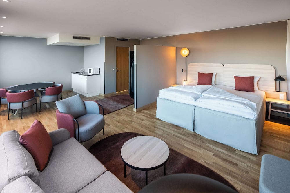 スカンディック シュドハウン 写真