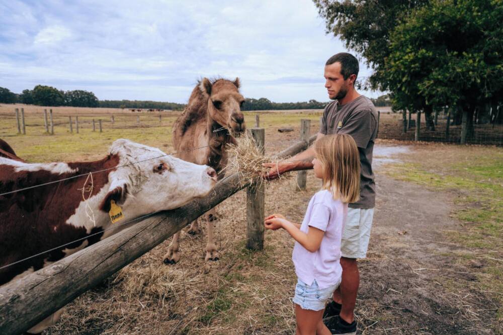 ディスカバリー パークス - マーガレット リバー 写真
