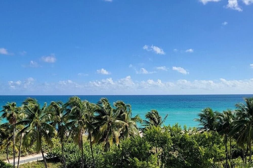 Broadmore Miami Beach 写真