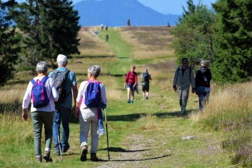 Hôtel Marchal 写真