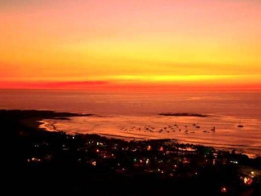 Hotel Tamarindo Diria Beach Resort 写真