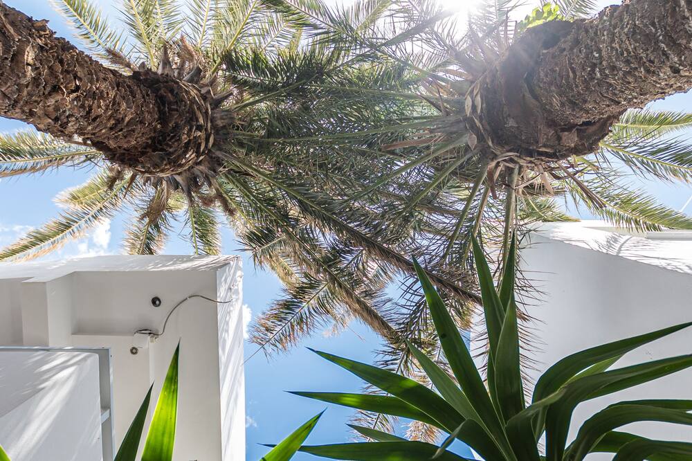 アナトリー 写真