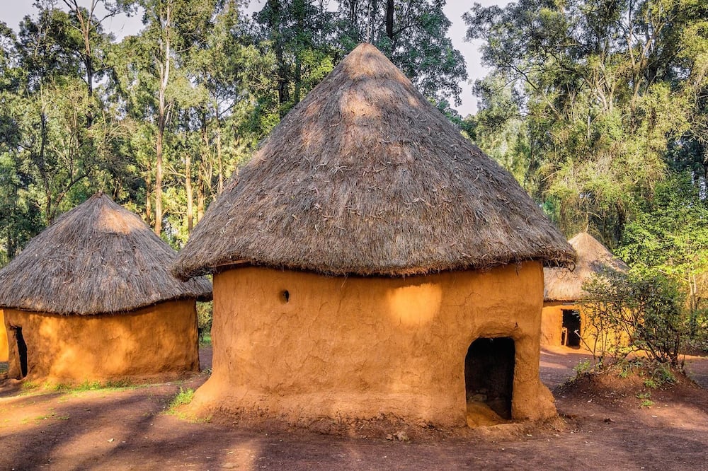 ヴィラ ローサ ケンピンスキー 写真