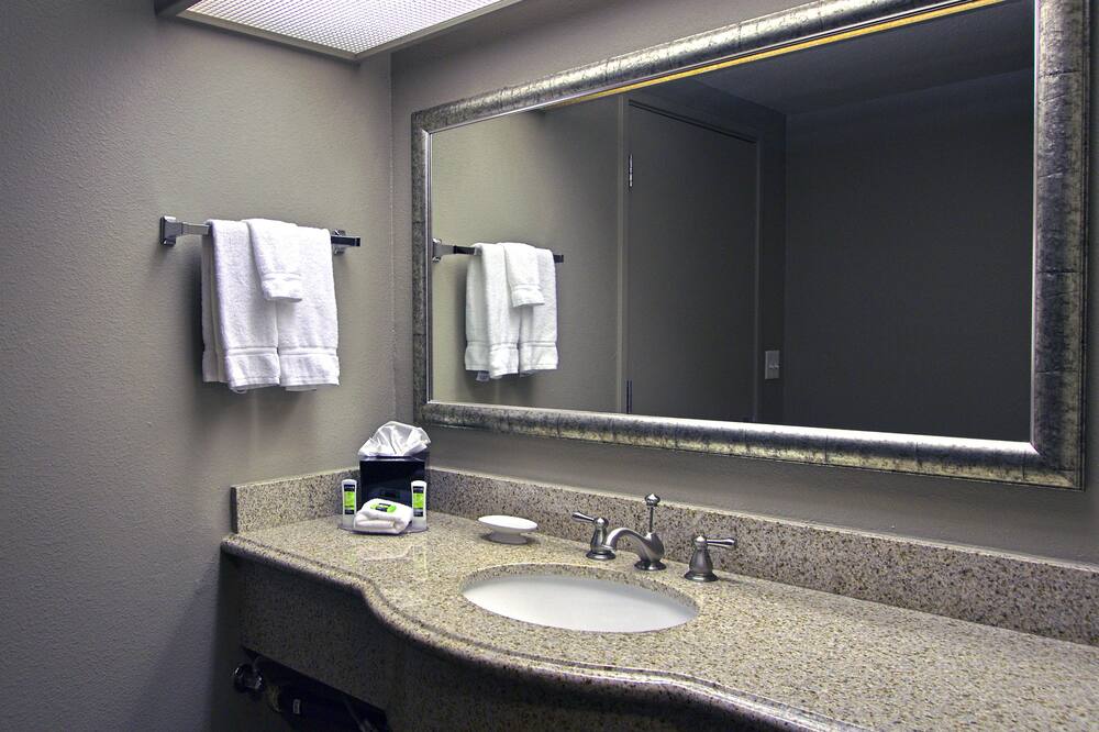 エグゼクティブ イン ＆ スイーツ オークランド 写真