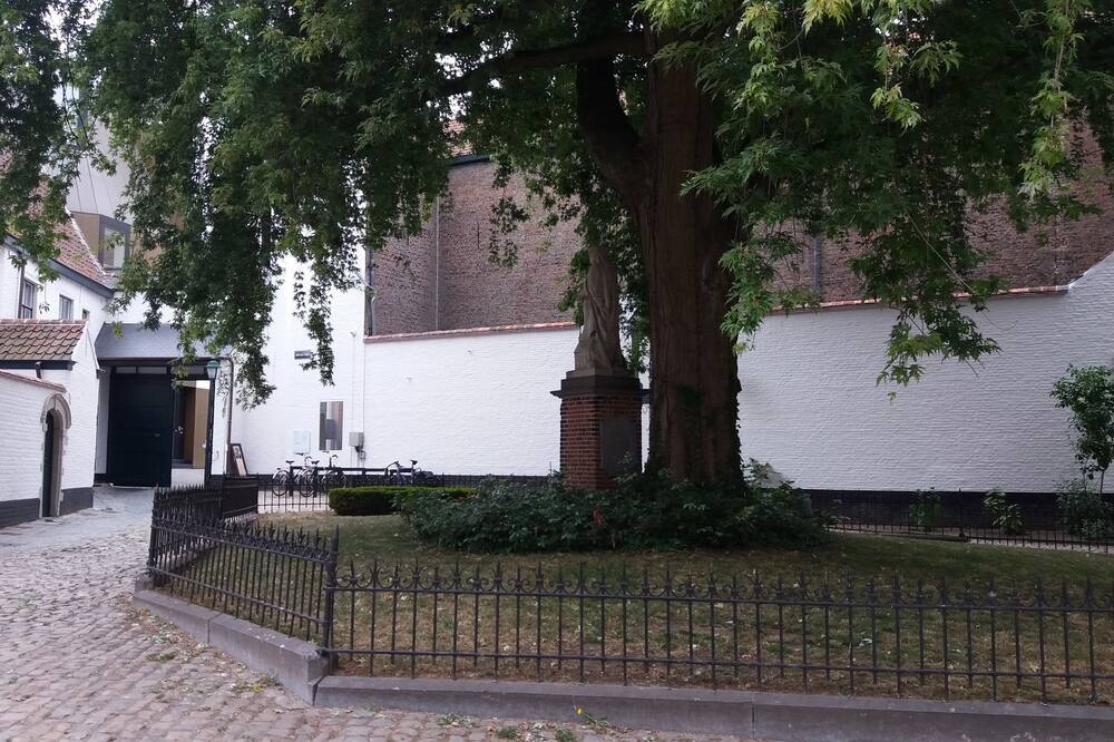 ホテル ダミエ コルトレイク 写真