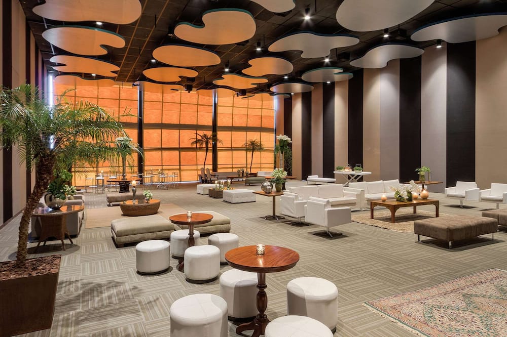 ロイヤル チューリップ ブラジリア アルボラーダ 写真