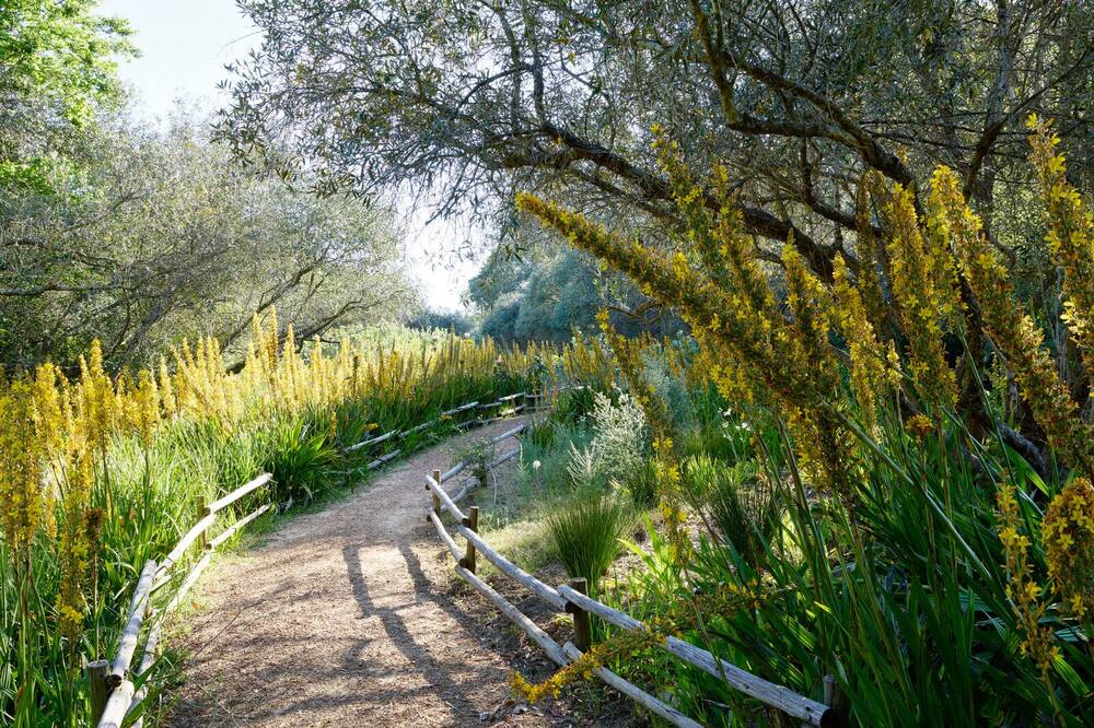 ザ シュピア ホテル 写真