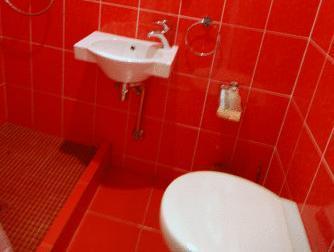 ピータルスカヤ クラブ ホテル 写真