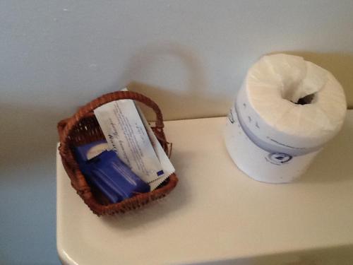 サファリ モーテル 写真