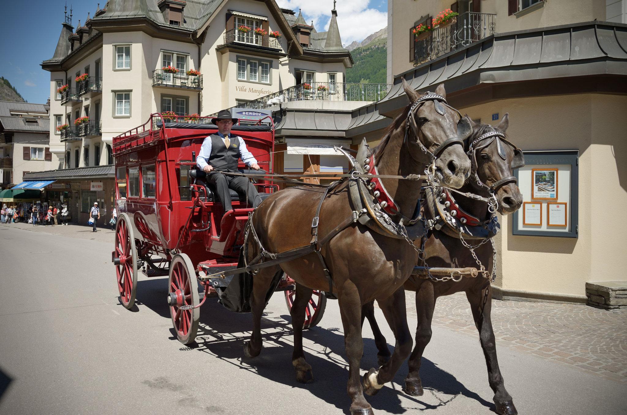 モン セルヴァン パレス 写真