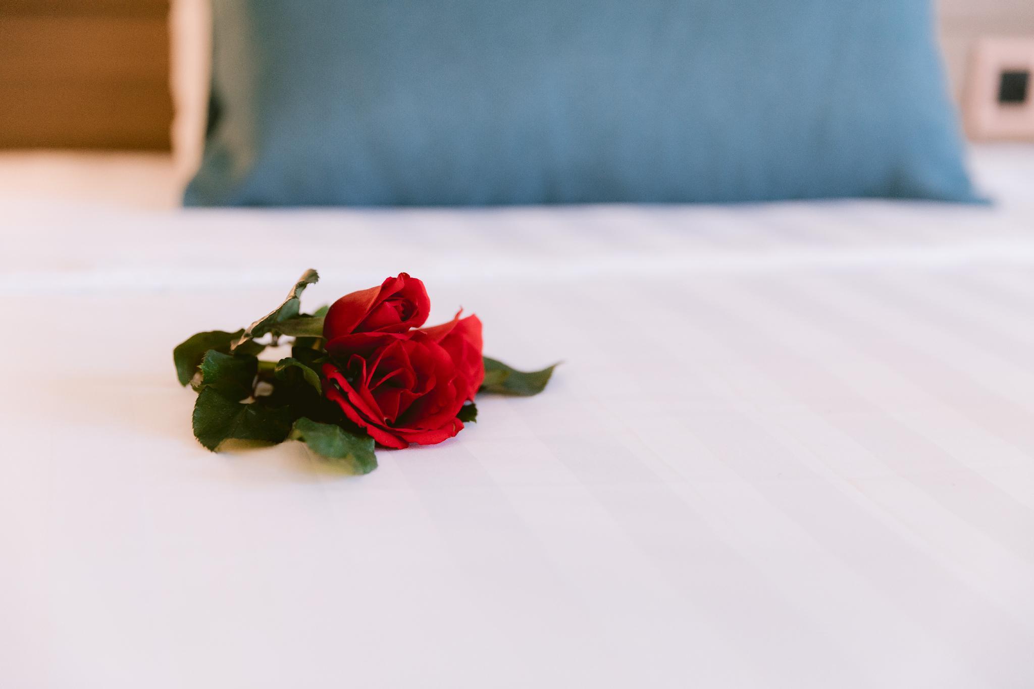 ラム ヴァン ホテル 写真