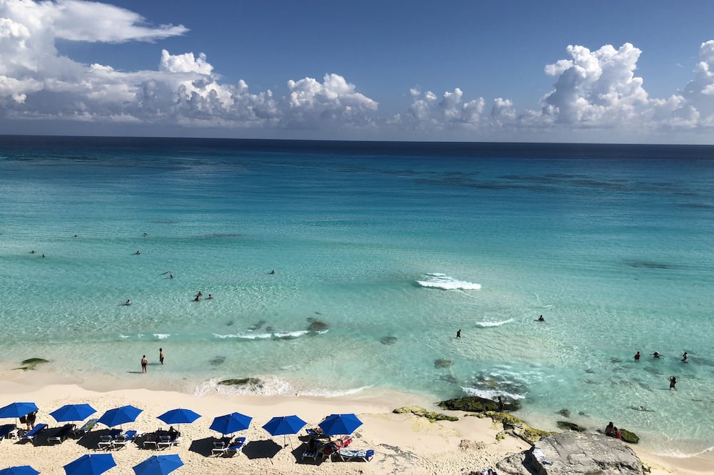 サルヴィア カンクン 写真